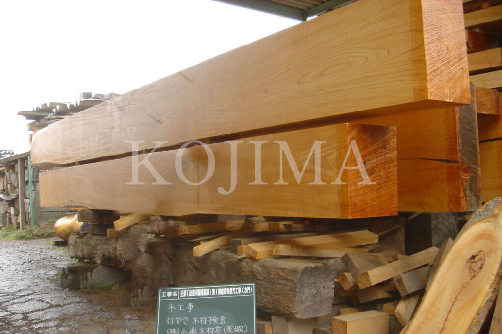 出島の水門で使用された欅材